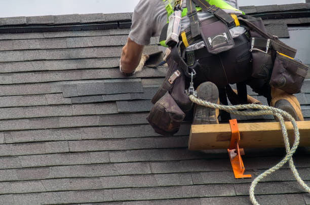 Best Roof Leak Repair  in Savoy, IL